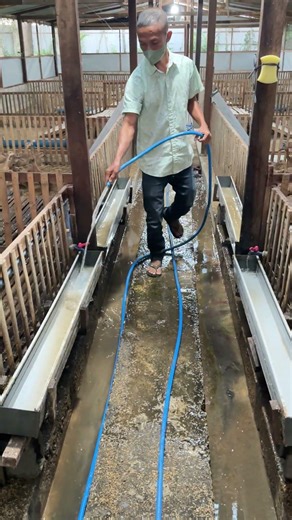 How I Clean My Duck Farm Fast Without Wasting Time