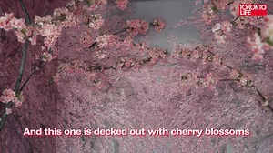 5.9K views · 39 reactions | Take a look inside Eye Candy, Toronto's new technicolor pop-up on Queen West: | Toronto Life | Facebook