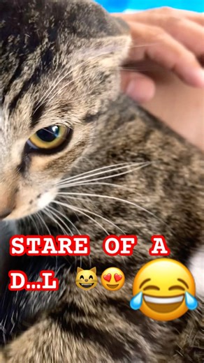 MOOD SWINGS AGAIN and forever😆😄 #shorts