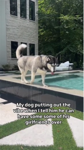 You have to admit he walks with serious swagger