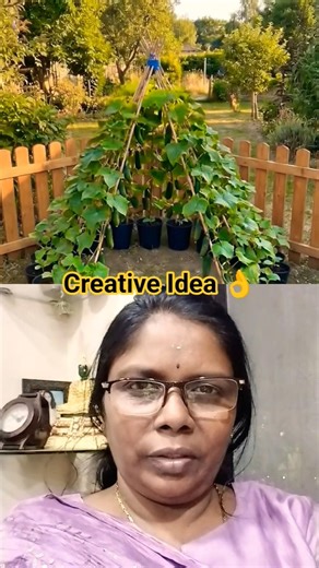 Idea Super 👌പന്തൽ ഇങ്ങനെയും ഇടാം 👍#agriculture ##farming #garden #home #ytshorts #shorts #yt
