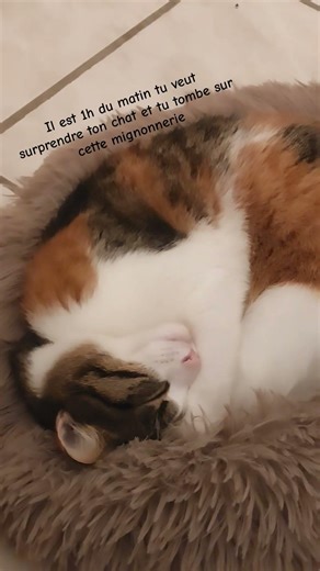 comment ne pas craquer ? 🥰🥰