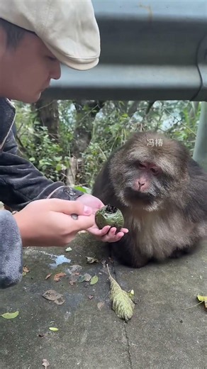Xingxing ：What The Hell Is This？It's So Smelly And Disgusting.