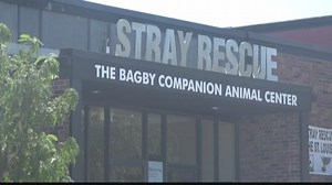 Lawsuit: Stray Rescue profited off negligence that caused deadly distemper outbreak
