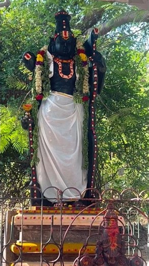 Tirumala Tirupati ♥️🙏 #minivlog #tirupati #teluguvlogs #viral #shorts #shortsfeed #temple