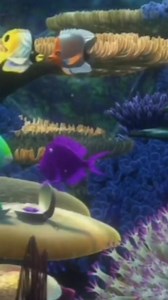 Marlin and Coral 😳 Finding Nemo 2003 ❤ #FindingNemo Part 2 | Anthony Abero