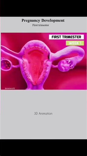 206 Bones in 30 Seconds! 🦴#viralvideo #shorts #trending #bodybuilding #bodyparts#bollywood #viral