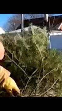 Easy holiday recycling tips