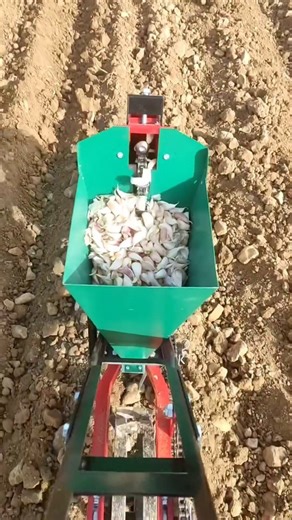 Discover Agriculture on Instagram: "Introducing the amazing Garlic Seed Sowing Machine! 🌱 This simple yet effective small tool is a game-changer for farmers, making seeding garlic crops easier than ever. With its innovative design, this machine streamlines the sowing process, saving time and effort in the fields. Say goodbye to manual labor and hello to efficiency with this must-have tool for any agricultural operation. Elevate your farming experience today with the Garlic Seed Sowing Machine!