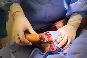 Clean Cut Still - The Foot Looked Fine