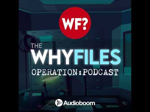 631: UFO Disclosure, Varginha, and the Captured Creature | Basement #005: James Fox