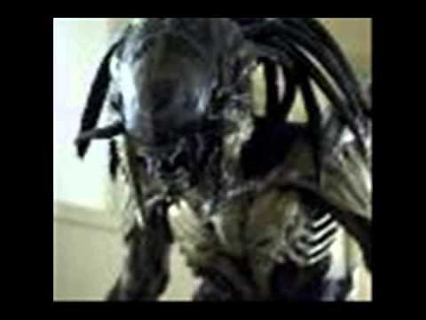 sonidos de aliens vs depredador sonidos reales