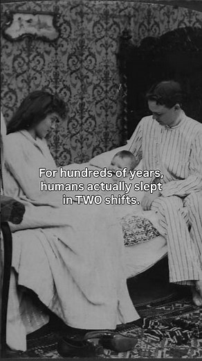 💤😴 #History #DidYouKnow #sleep