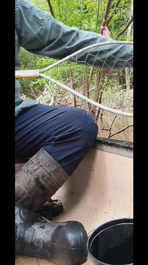 #fishing #trotline #flatheadcatfish | JimmyDean Sims