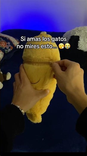 Todos los amantes de los gatos deberían verlo 😻😻 #gatitos #gatos #peluche #amor #adorable