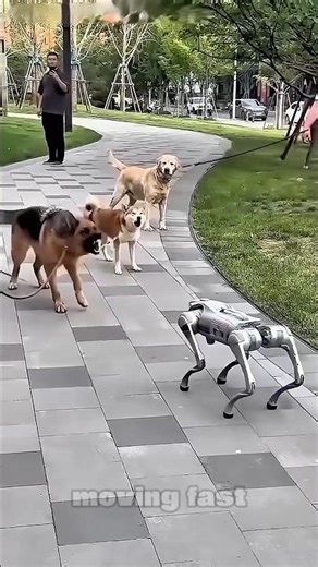 Is This ROBOT Bog Better Than A Real Bog?