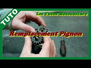 Démarreur Briggs , Remplacement pignon !!! ( tracteur , autoportée )