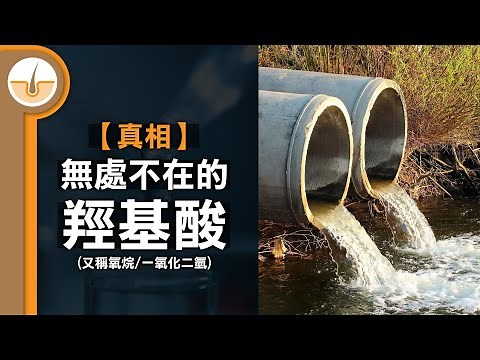 【真相】極度危險但已無處不在的化學物質 #曲 (繁中字幕)