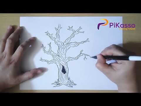 How to Draw a Oak Tree step by step easy