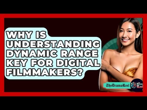 Why Is Understanding Dynamic Range Key For Digital Filmmakers? - The Drama Reel