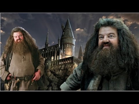 What If Hagrid Went Back To Hogwarts As A Student?