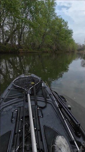 Let's See how easy it is to stand up on the new CAJO Terra 116 PDL Pro Series Fishing Kayak #hybrid