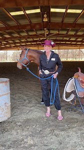 8.1K views · 5.5K reactions | The Biggest Problem With Barrel Horses...