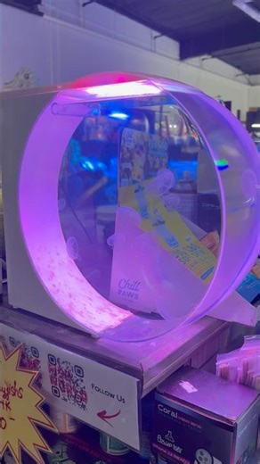 Cool Display Tanks at CK Fish World