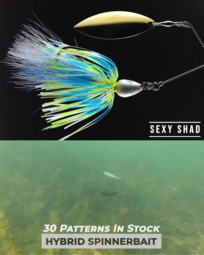 New Product 🔥🔥 The Hybrid Spinnerbait 2.0 is now live on our website! For those still wanting a fixed wire spinnerbait, we will continue to carry the original design in 1/2 ounce. -- The Hybrid Spinnerbait presents a revitalized look to a time-tested lure style: the Spinnerbait. This intricately constructed lure is assembled by hand with the highest grade components, ensuring that it is capable of withstanding a myriad of fishing environments. Each lure is equipped with a non-fixed, free swing