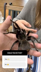 3.7K views · 102 reactions | The Reptile Zoo on Reels | Facebook