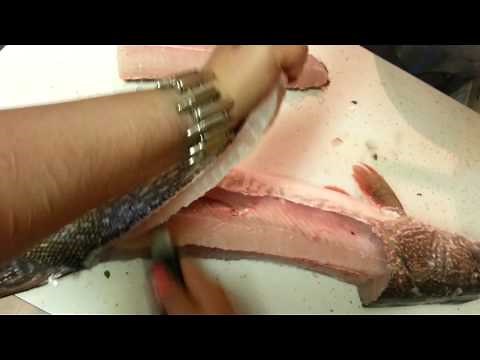 How to fillet a Northern Pike, Boneless.