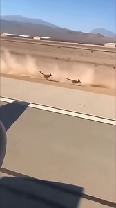 Je ne sais pas si c'est de l'IA ou pas ...mais Bip Bip et le coyote 🤣❤️ | Séries TV d'avant-hier et vieux Téléviseurs