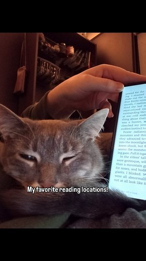 Everyone talks about their favorite reading spots like it’s a...