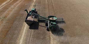 Potential record wheat harvest for North Dakota producers