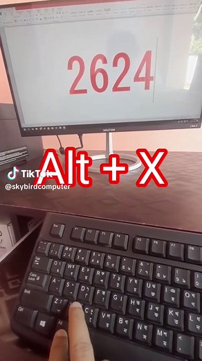 Sky Bird Computer on TikTok