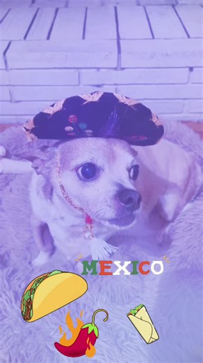 Amber Rodgers (@amberhrodgers)’s videos with Mexican Hat Dance - Party Songs for Kids