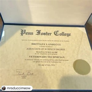 “It feels much more official now! 🍾🥂✨ #pfvettechstudent #pfproud #vetmed #thevettechlife” - Brittany | Penn Foster