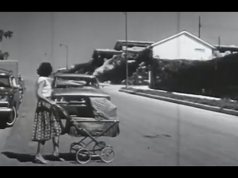 DRIVER'S ED SCARE FILMS Volume 4