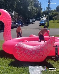 135K views · 1.7K reactions | These blokes needed to be rescued after they floated out to see on a giant flamingo - but couldn't get back. 藍 | News.com.au | Facebook