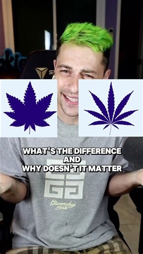Indica VS Sativa Is Outdated