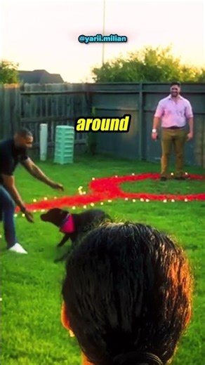 Dog Zoomies Ruin Proposal 😂