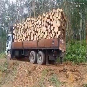 24K views · 95 reactions | Excavator stacks wood on high-class trucks Join: Heavy Equipment | Channel Machinery | Facebook