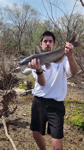 The Magic Dancing River Catfish: Check Out Those Moves: FATKAT Best Catfishing Rigs!