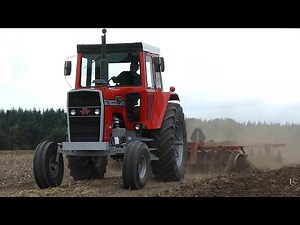 Massey Ferguson 185, 1135 & 1155 | Cultivating The Field | American Ferguson Days - The Gods