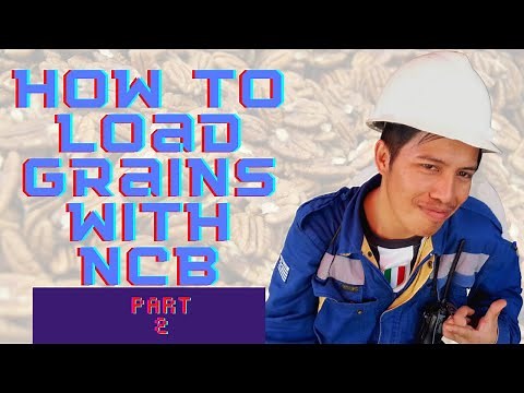 How to load Grains with NCB stability calculation Part 2