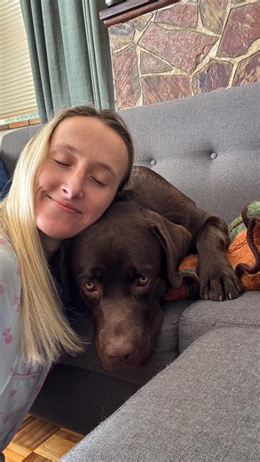 Or is it just me? 🤔 | Guinness The Chocolate Labrador