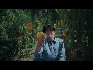 Arcor: No Da Lo Mismo