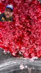 Eating Nature's Raspberries | Brandon J McDermott