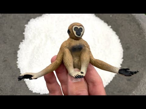Wild Animal Toy Slide! 🛝 Rare Animals & Surprise Unboxing #PinoyKidsChannel