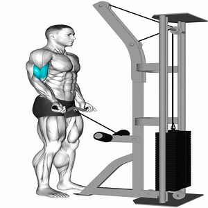 63K views · 1.4K reactions | Total Arm Transformation | Muscle man | Facebook